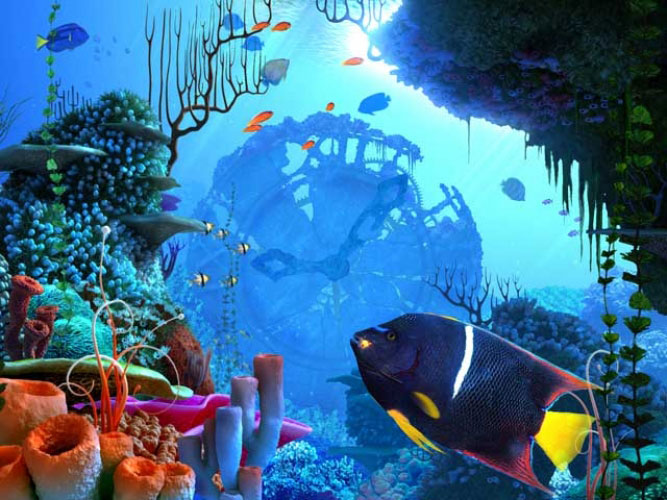 море, кораллы, часы, подводный, рыбы, под водой, океан