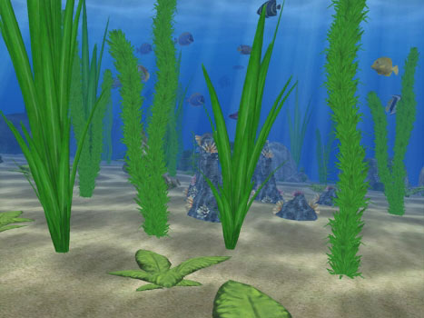 Water Life Скриншот