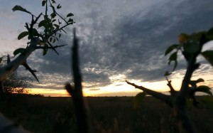 video, sunset, nature, landscape, sky, clouds, evening, night