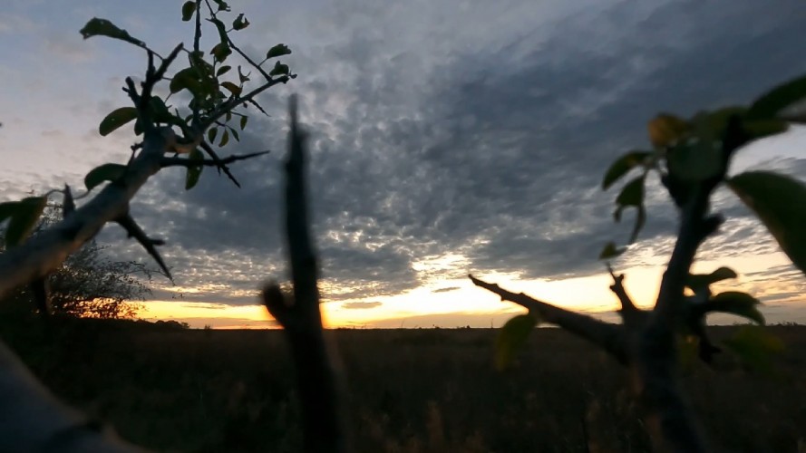 video, sunset, nature, landscape, sky, clouds, evening, night