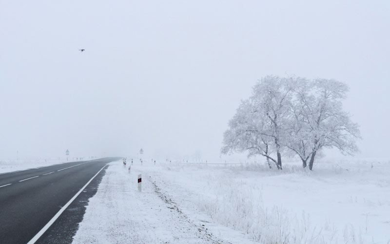 winter, nature, season, trees, sky, snow, landscape