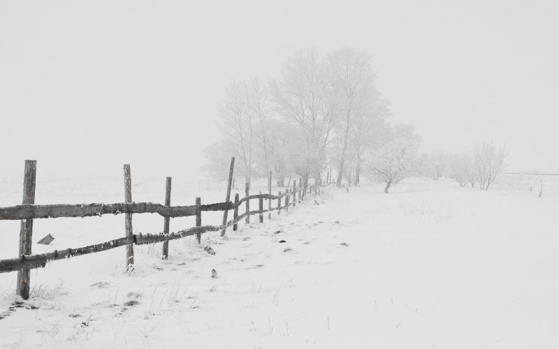 winter, nature, season, trees, sky, snow