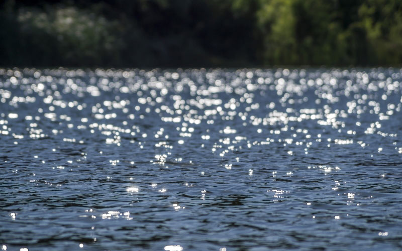 water, lake, nature