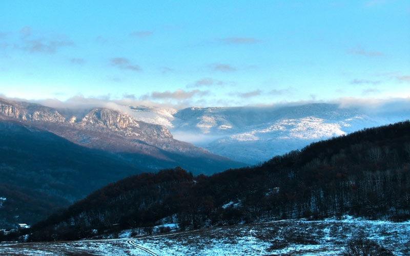 forest, mountains, nature, snow, landscape, winter