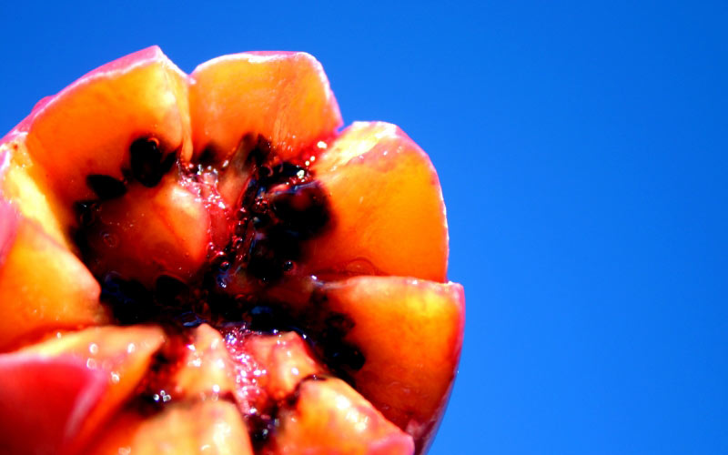 fruit, tamarillo, food, plant, seed, edible, nutrition