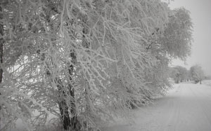 germany, landscape, winter, snow, ice, hoar frost, beautiful, nature, outside, country, countryside