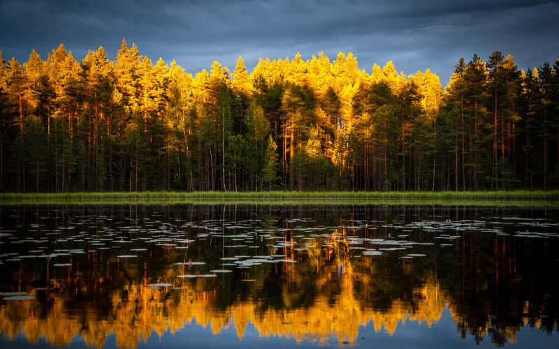 осень, природа, лес, озеро, пейзаж