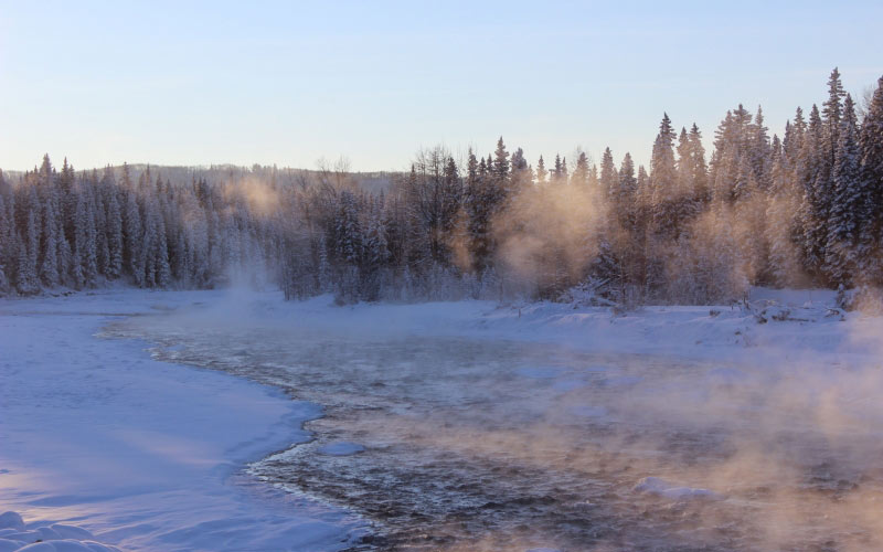 winter landscape, river, forest, winter, snow, nature, landscape