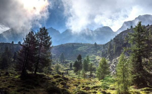 лес, горы, панорама, пейзаж, природа, небо, облака, туман, долина, бук, деревья, лето, трава