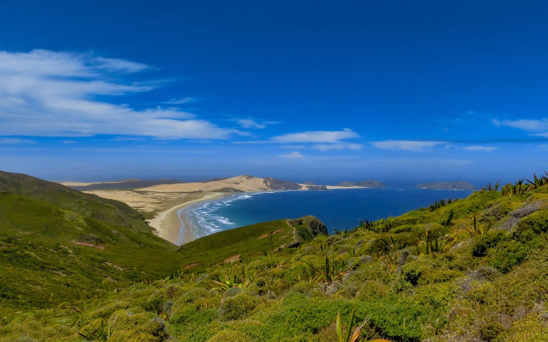 landscape, beach, coast, sea, nature, atlantic, landscape, waves, grass, rock, sky, ocean, summer, new zealand, north island, seaside