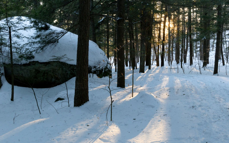 nature, landscape, trees, forest, sunlight, snow, winter, woods, stone