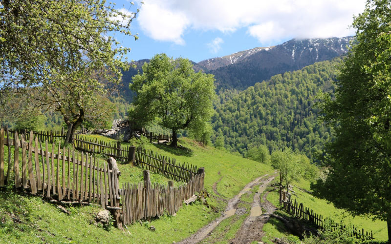village, sakhvlari, borjomi-kharagauli national park, nature, summer, mountains, forest, green