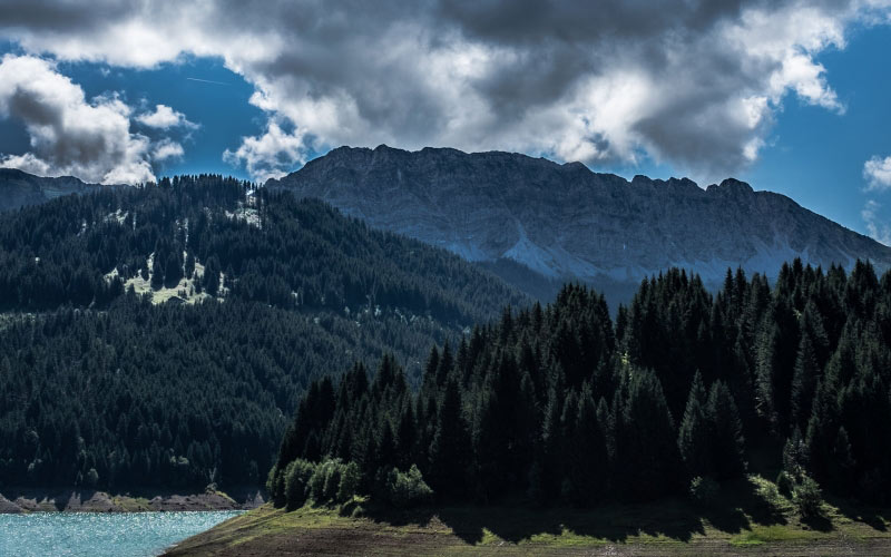 green, trees, island, cloudy, sky, pine, clouded, wood, mountains, forest
