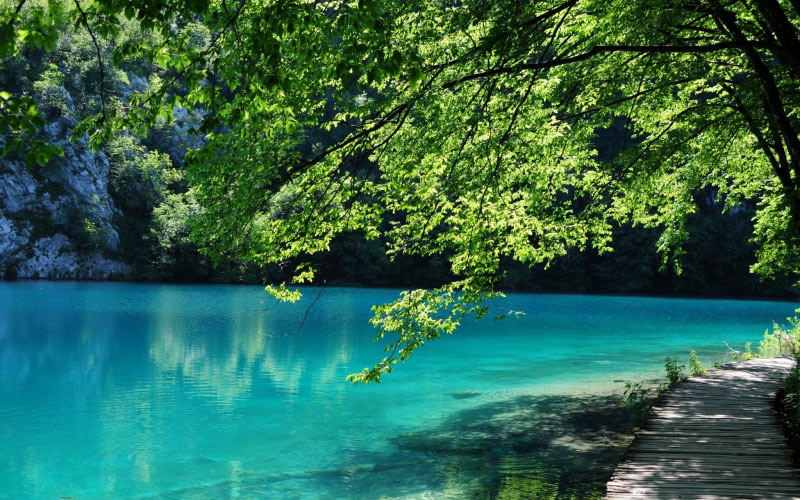 пейзаж, деревья, вода, природа, лес, солнечный, озеро, река, пруд, спокойный, парк