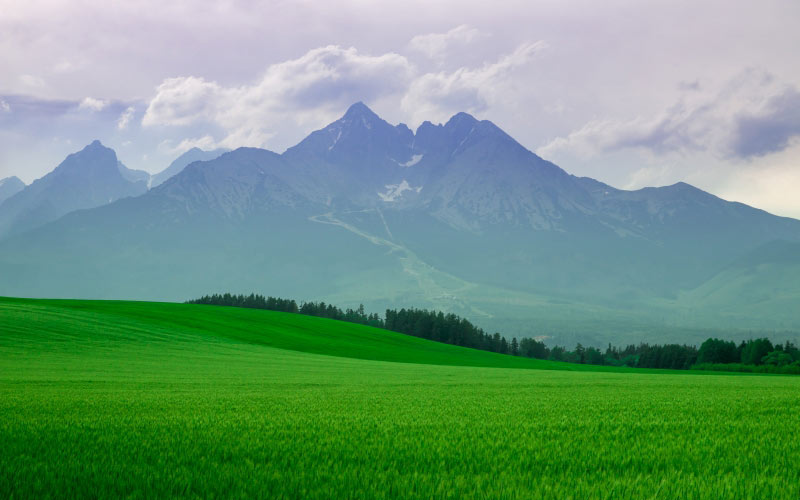 пейзаж, горы, поле, живописный, природа, зеленый, трава