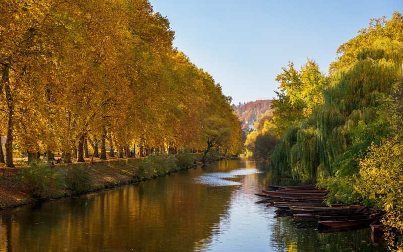 tübingen, тюбинген, германия, река, неккар, осень, деревья, пейзаж