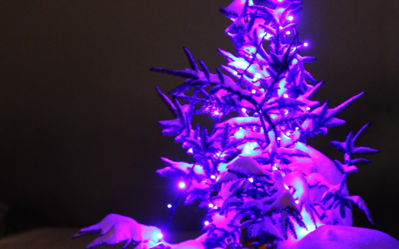 christmas, xmas, new year, holidays, light, dark, night, christmas tree, snow, glow