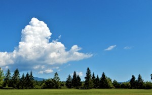 summer, park, sendai, nature, landscape, trees, park, sky, blue sky, clouds, scrub