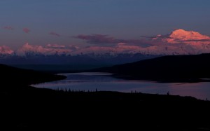 blueberry hill, sunset, landscape, nature, lake, river, snowy mountains, mountains, forest, alpenglow, night, evening, denali national park and preserve, alaska